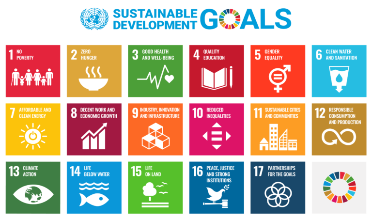 Why Is Soil Important? Soil Sustainability & Our Futur