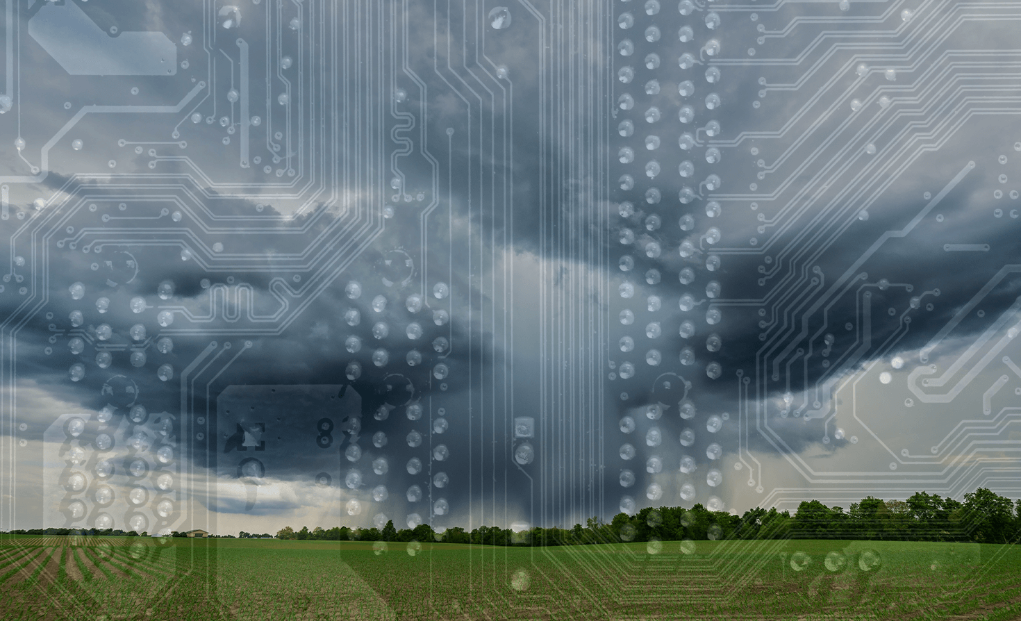 Software for accurate weather forecasting