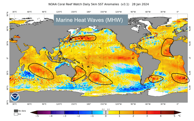 Marine Heat Waves