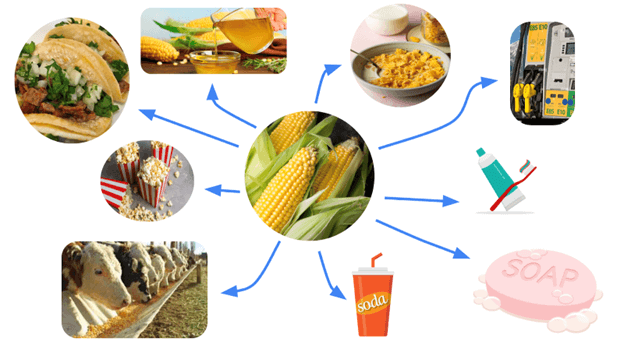 How corn is used