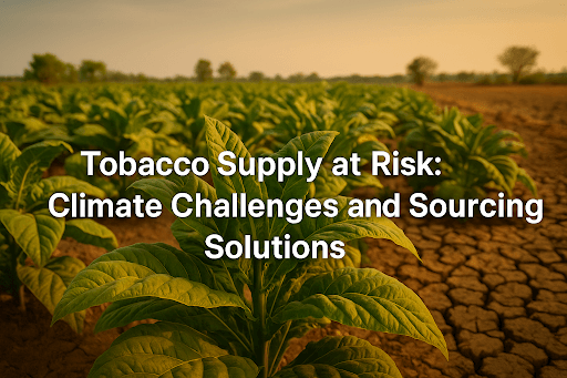 climate change tobacco How Climate Change Is Disrupting Tobacco Supply Chains