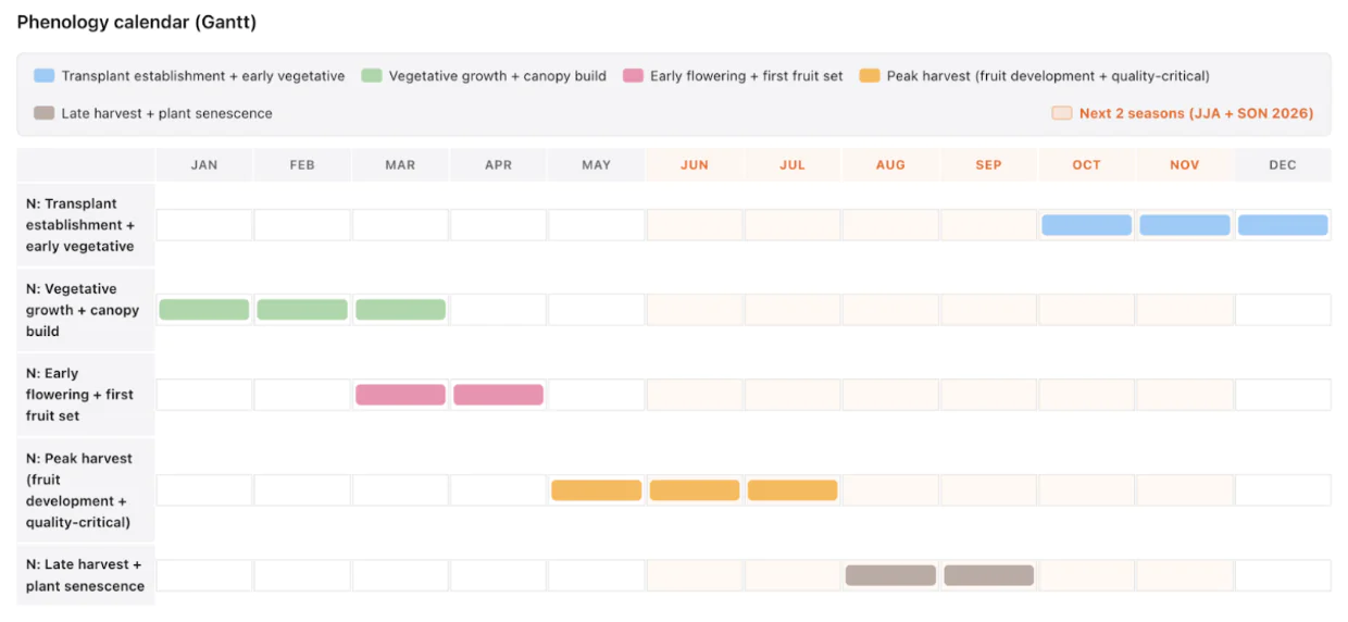 Gantt chart illustrating the annual strawberry growing cycle, showing transplanting, vegetative growth, flowering, harvest, and senescence across the calendar year, with the next two seasons (June–November 2026) highlighted.