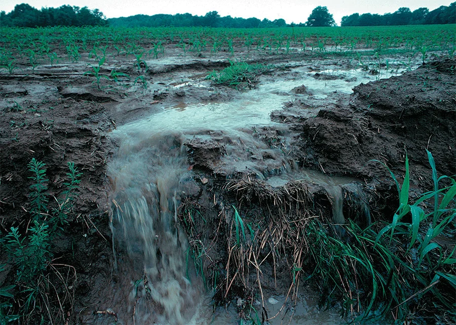 View of runoff, transporting nonpoint source pollution, from a farm field in Iowa during a rain storm. Topsoil as well as farm fertilizers and other potential pollutants run off unprotected farm fields when heavy rains occur.