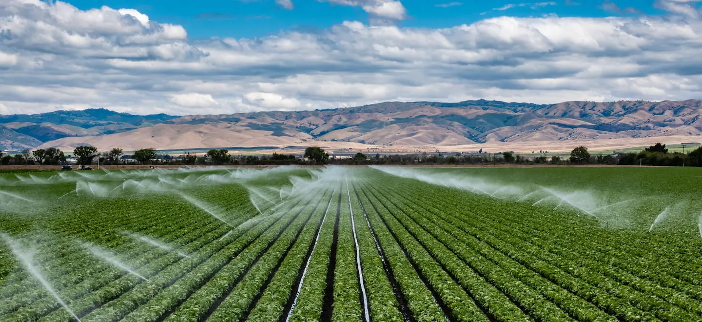 A field irrigation sprinkler system waters rows of lettuce crops on farmland in the Salinas Valley of central California, in Monterey County, on a partly cloudy day in spring.