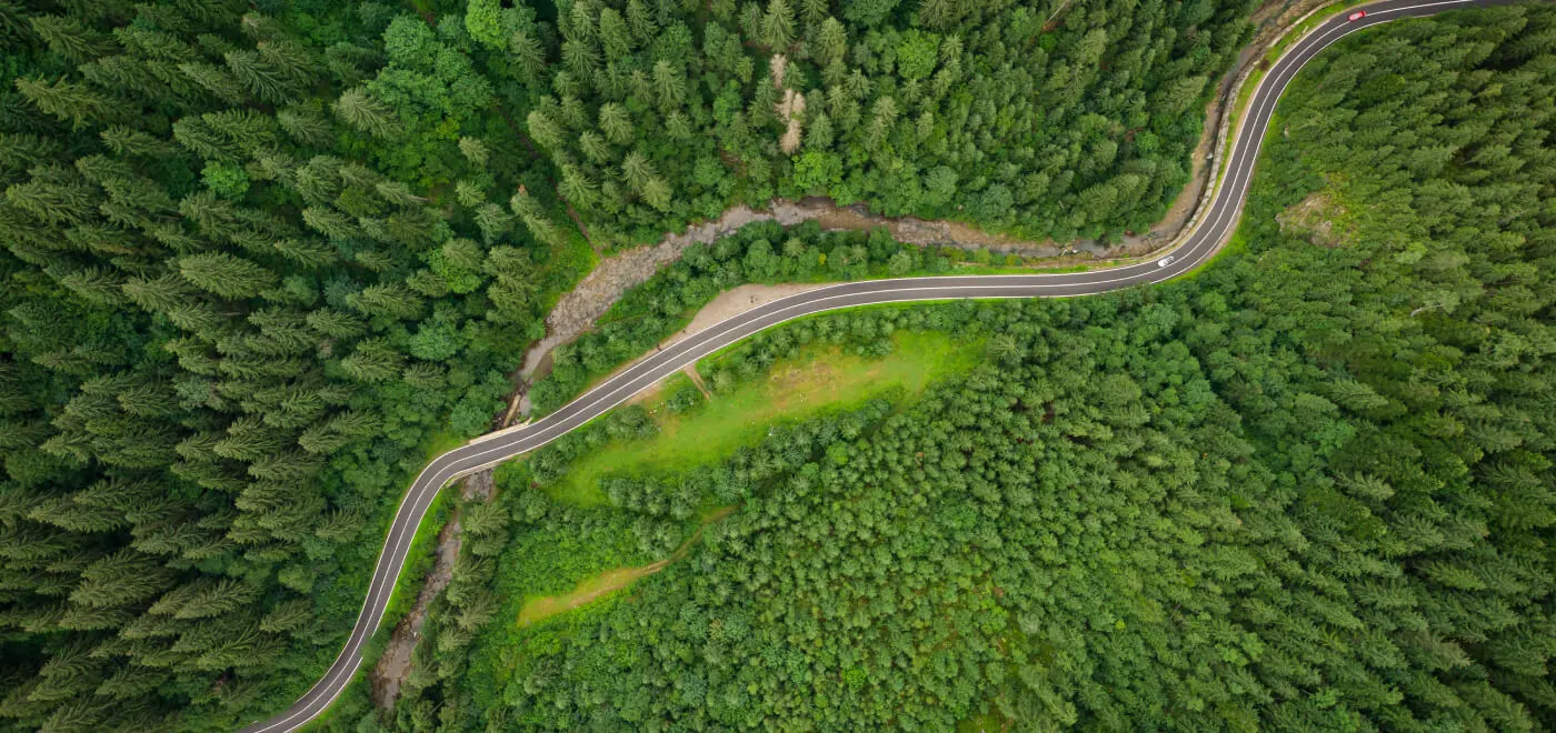 Aerial view of a winding road in the middle of the woods. Green forest.