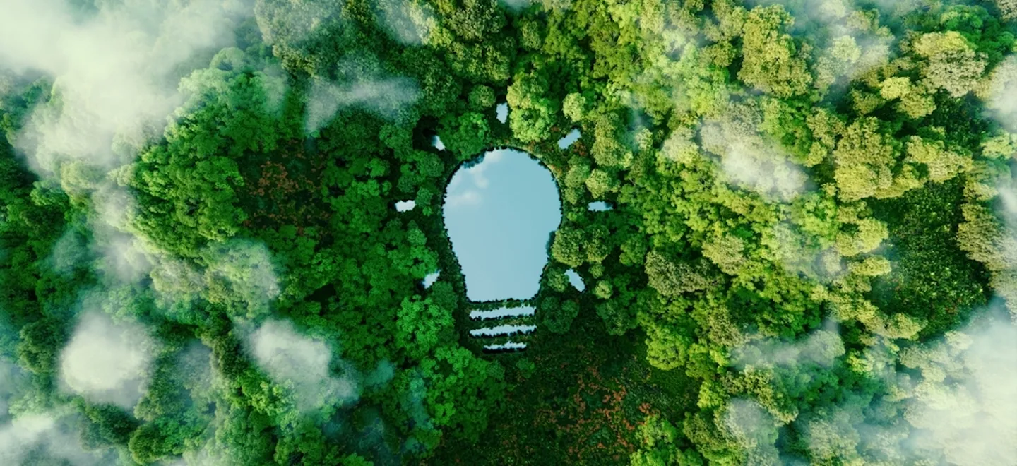 A bulb-shaped lake in the middle of a lush forest, symbolizing fresh ideas, inventiveness and creativity in relation to solving environmental problems