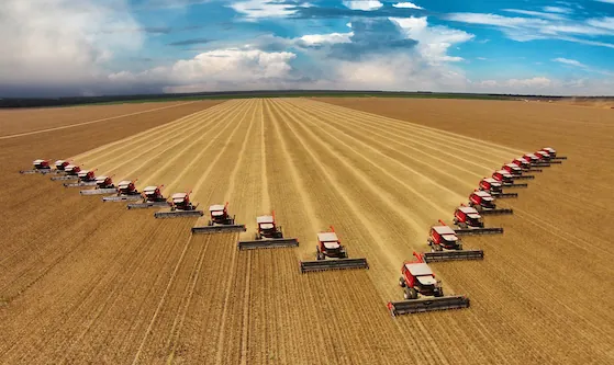 22 Harvesters working In Soybean Harvest In The State Of