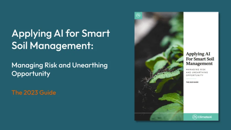 Picture of Applying AI for Smart Soil Management Ebook