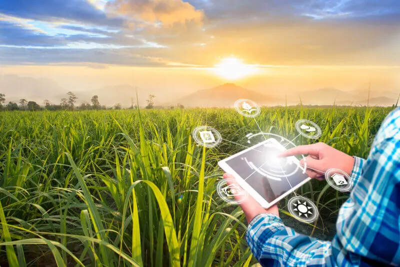 Innovation Technology For Smart Farm System Agriculture Management Hand Holding