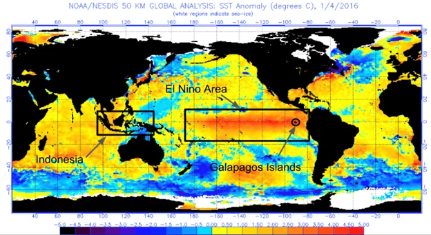 El Nino Water Temperatures 2015-2016