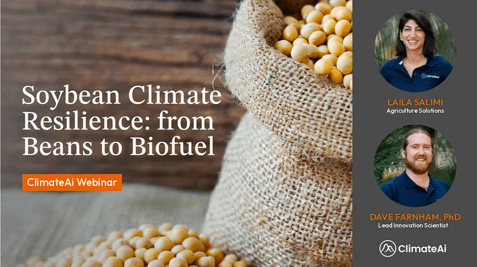 Soybean Webinar Pic