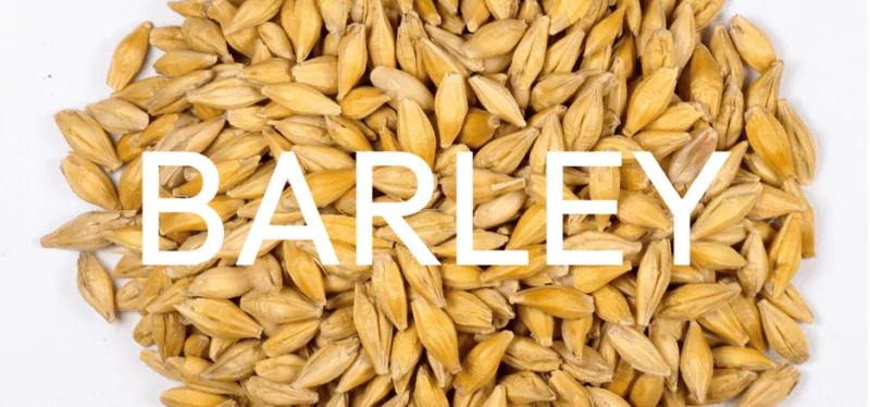 Barley Title