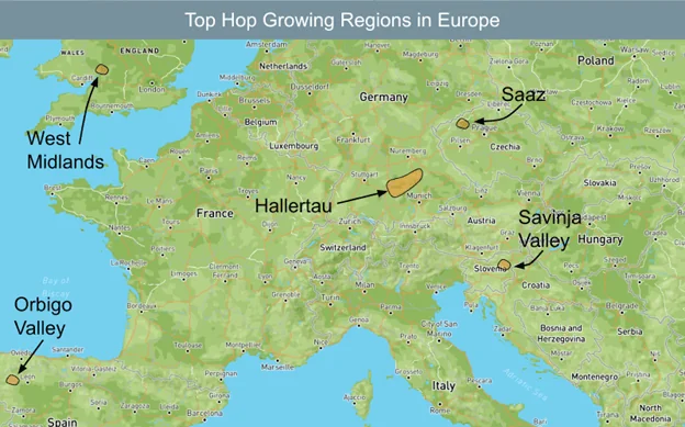 Top Hops Growing Regions in Europe