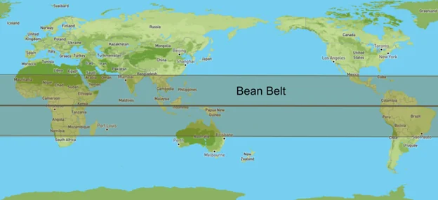 The Bean Belt