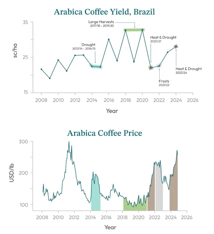 Coffee Arabica yields and prices in Brazil