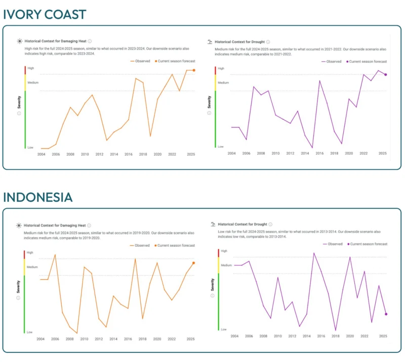 Graphs showing damaging heat and drought risk for cacao production during the last 20 years. In Ivory Coast, there is an increasing risk trend which is not as prevalent in Indonesia. Obtained from ClimateAi's Risk Outlooks.