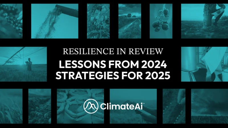 Resilience in Review Hero Image