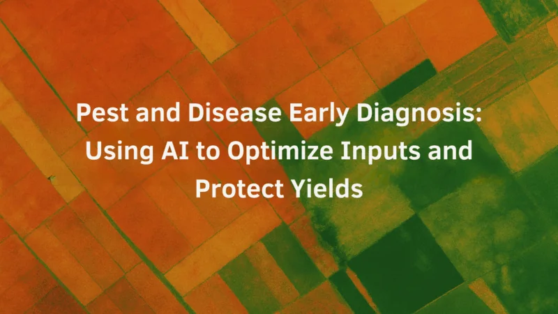 Banner image for blog about pest and diseases early diagnosis, featuring a heat map of fields and the title.